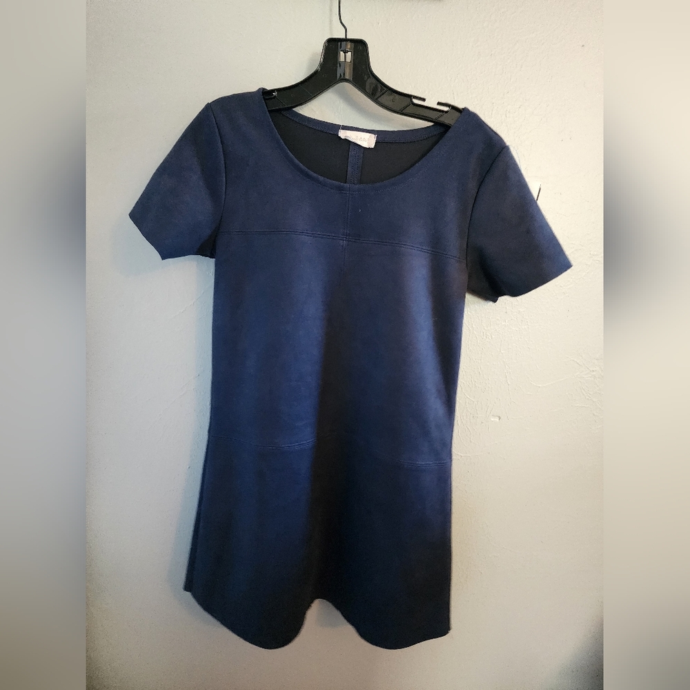 Altar'd State Suede Navy Mini Dress